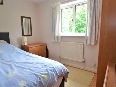 Picture 16
